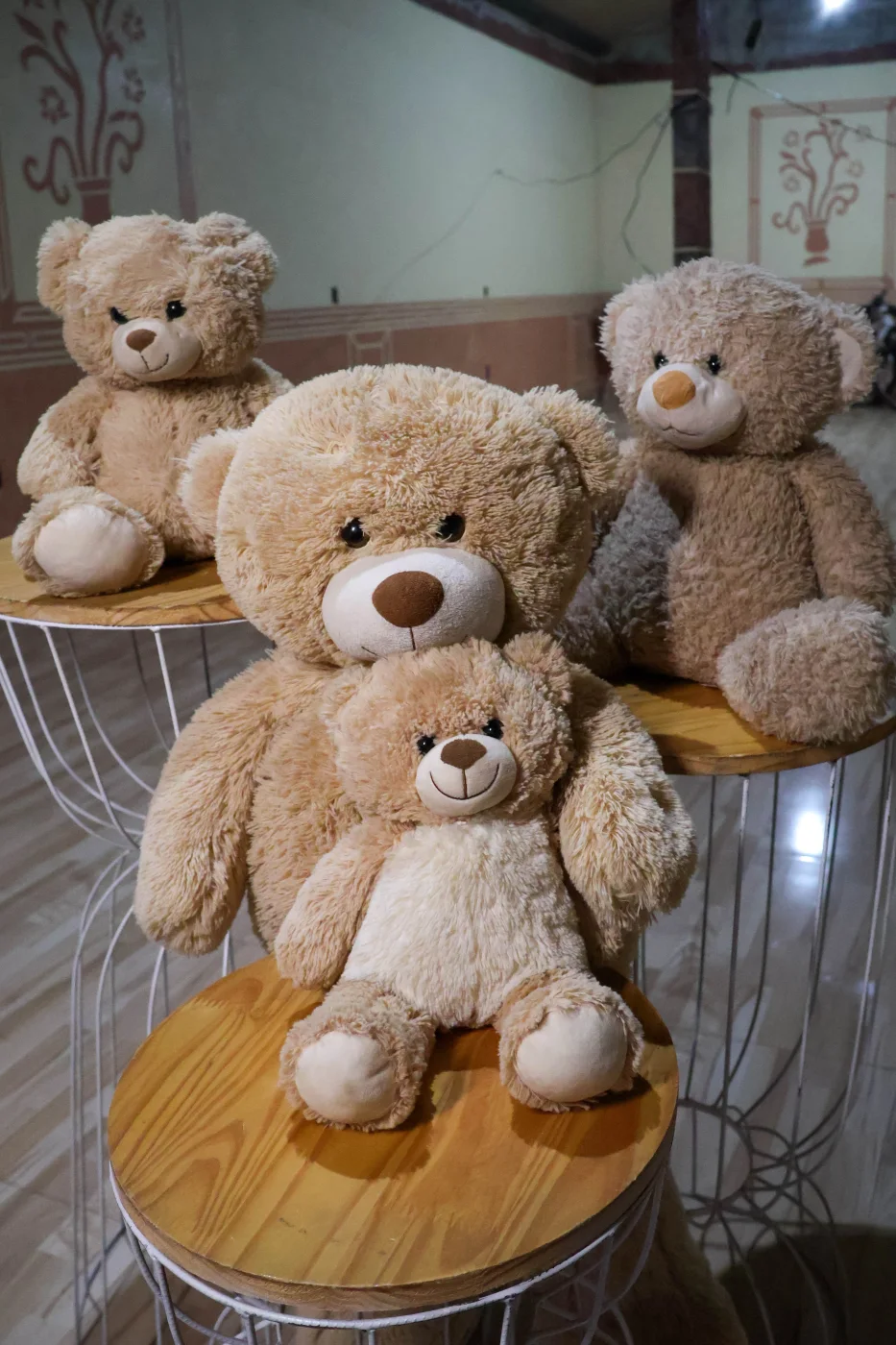 Urso Grande para alugar em Brazlândia